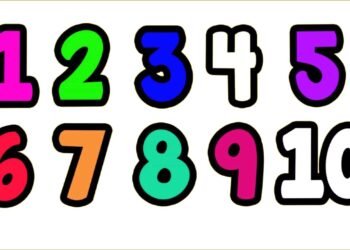 Cardinal Numbers and Ordinal Numbers